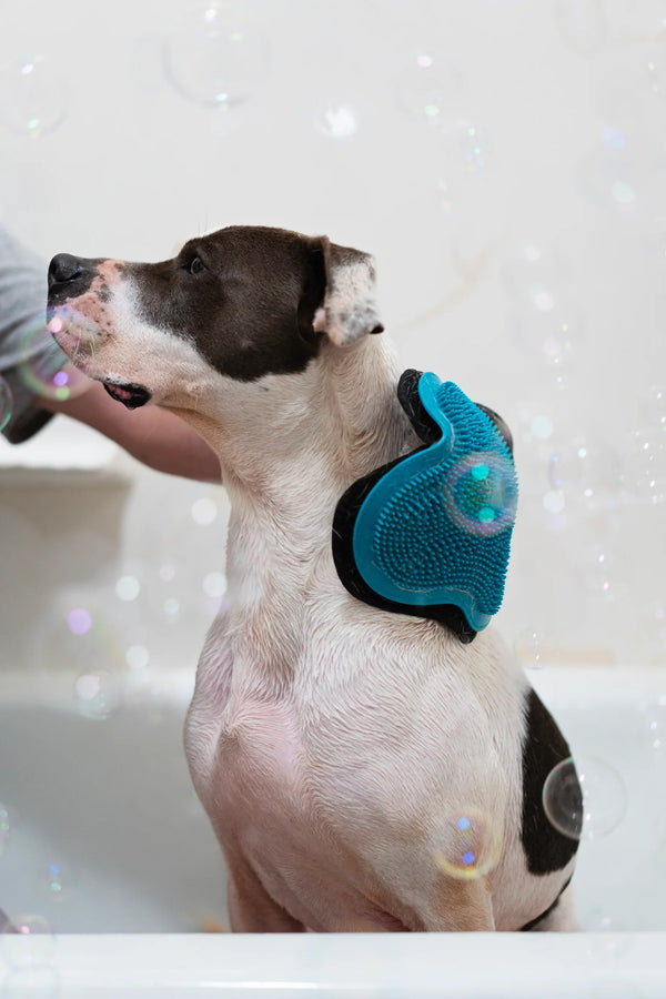 MESSY MUTTS Silicone Grooming Glove Blue
