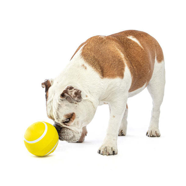 GURU Giggling Tennis Ball