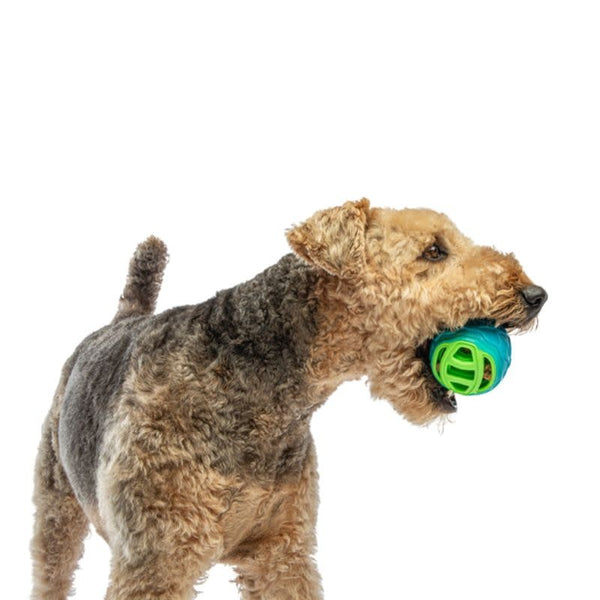 GURU Pocket Ball