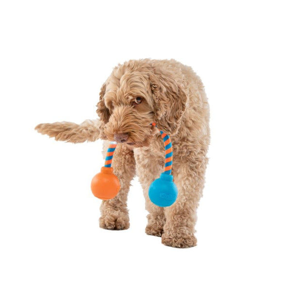 GURU Squeaking Rope