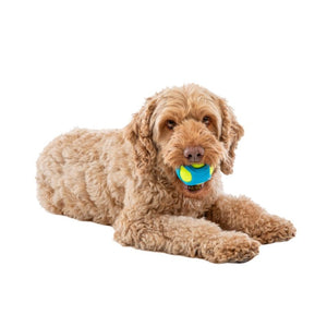 GURU Tennis Max Ball