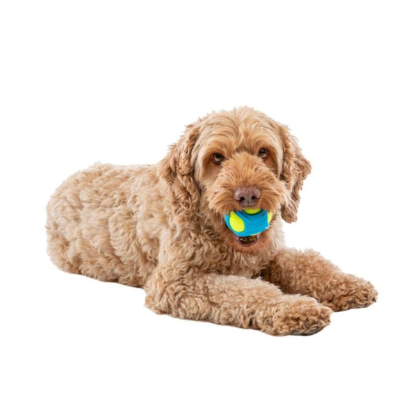 GURU Tennis Max Ball