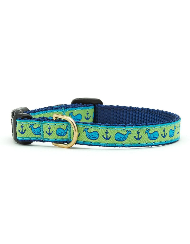 UP COUNTRY Small Breed Dog Collar Whale