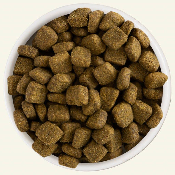 WERUVA Melody Lamb & Lentil Dry Dog Food