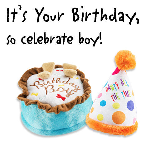 HAUTE DIGGITY DOG Birthday Boy Bundle