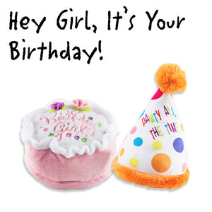 HAUTE DIGGITY DOG Birthday Girl Bundle