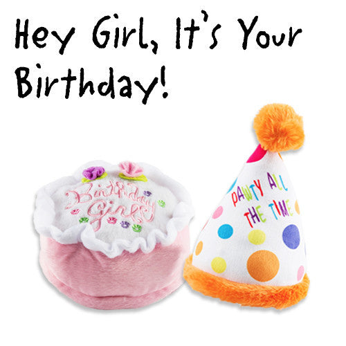 HAUTE DIGGITY DOG Birthday Girl Bundle