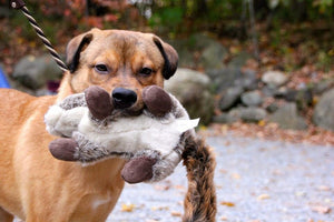 FLUFF & TUFF Nuts Squirrel