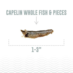 ICELANDIC+ Cat Treat Whole Capelin 1.5oz
