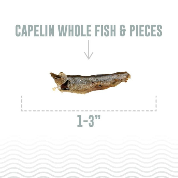 ICELANDIC+ Cat Treat Whole Capelin 1.5oz