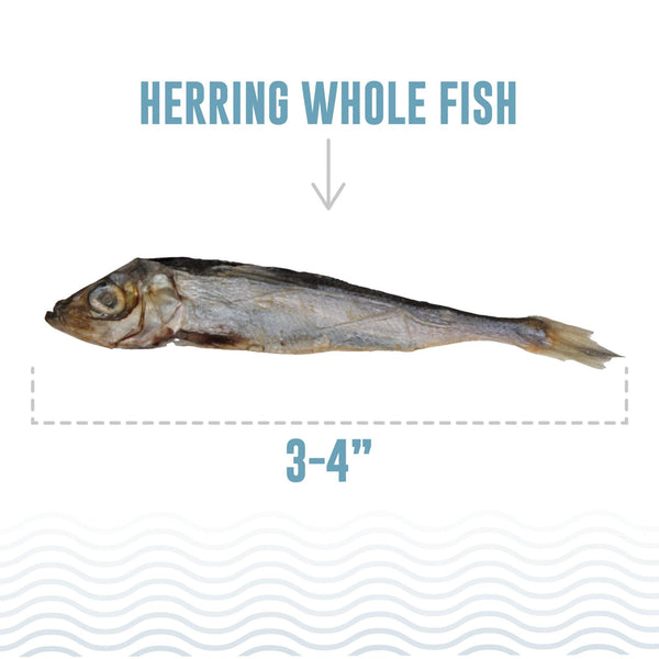 ICELANDIC+ Dog Treat Whole Herring