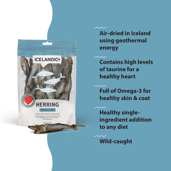 ICELANDIC+ Dog Treat Whole Herring