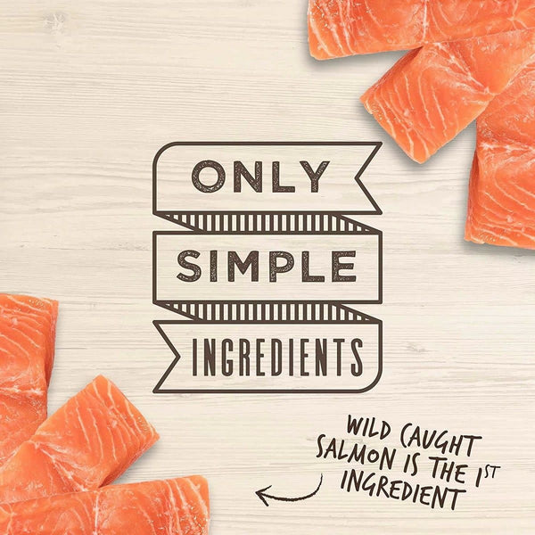 CLOUD STAR Salmon Jerky Dog Treat 10OZ