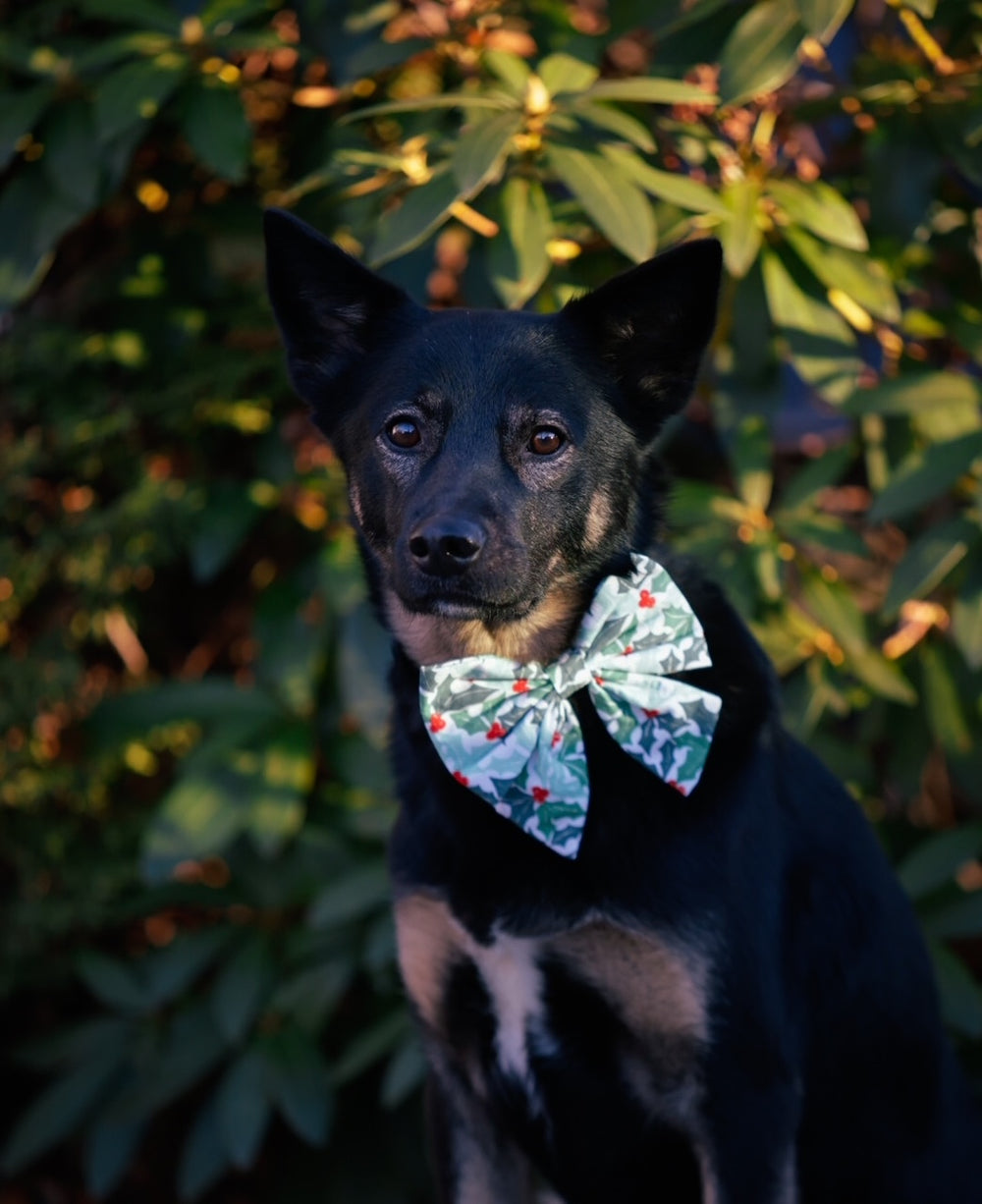 FISH & BONE Sailor Bow Yule Christmas