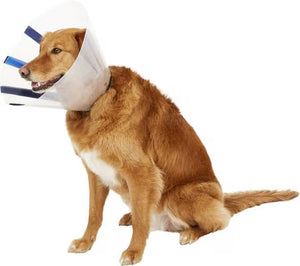 KONG Ez Clear E-Collar