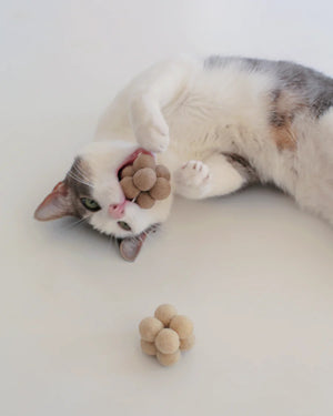 CATENARY HOME Pearl Enrichment Cat Toys