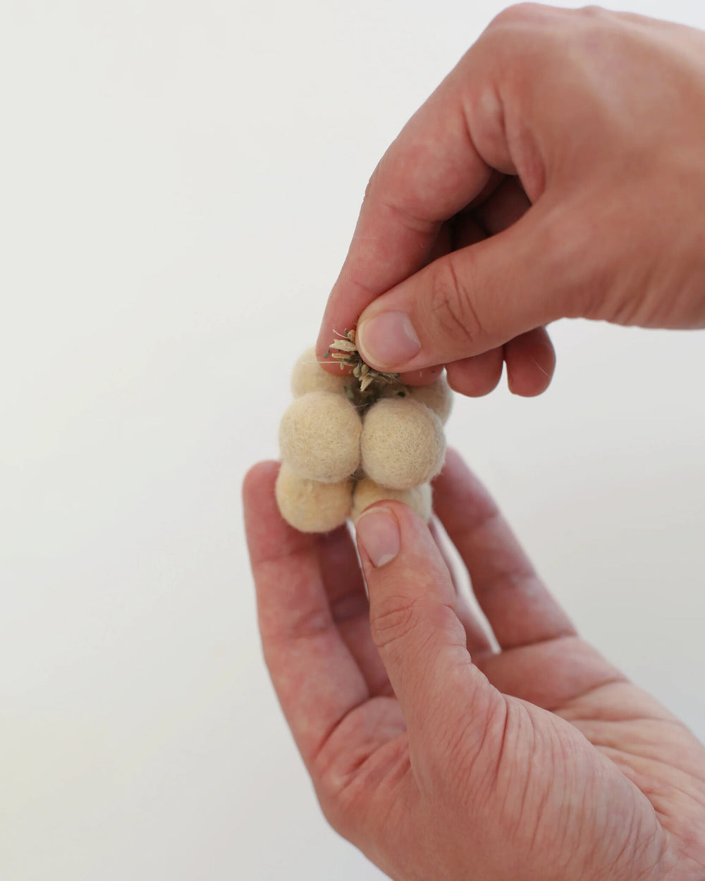 CATENARY HOME Pearl Enrichment Cat Toys