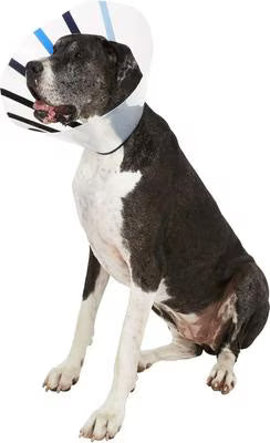 KONG Ez Clear E-Collar