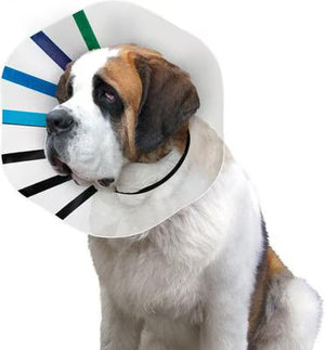 KONG Ez Clear E-Collar