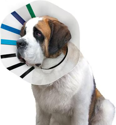 KONG Ez Clear E-Collar