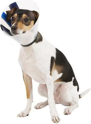 KONG Ez Clear E-Collar