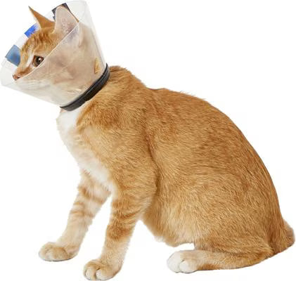 KONG Ez Clear E-Collar