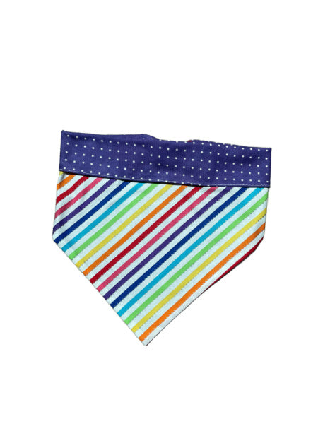 CHLOE & MAX Reversible Bandana