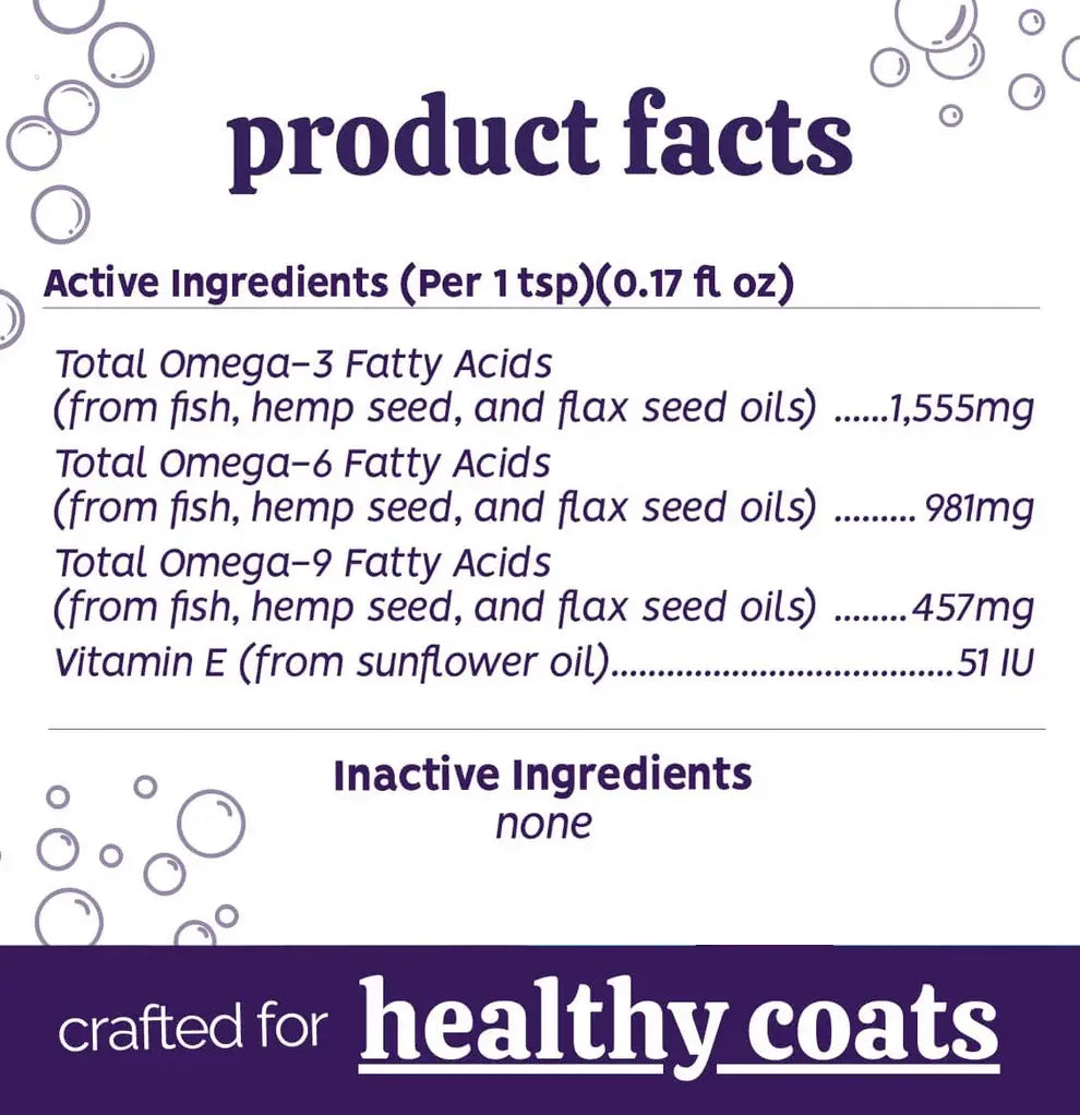 AUSTIN AND KAT Everything Oil 16 OZ