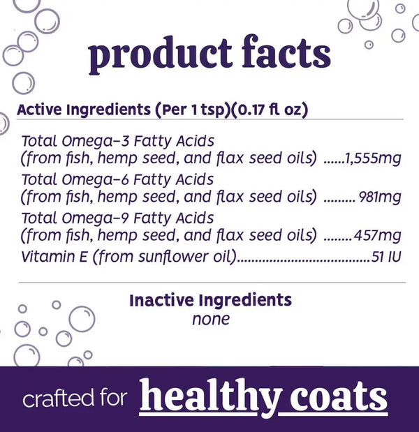 AUSTIN AND KAT Everything Oil 16 OZ