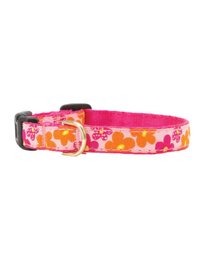 UP COUNTRY Teacup Dog Collar Flower Power