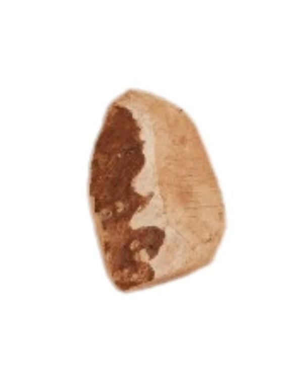 CANOPHERA Briar Wood Chew