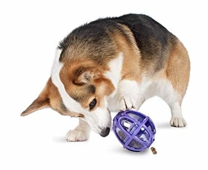 BUSY BUDDY Kibble Nibble Puzzle Toy