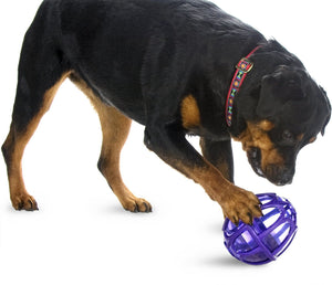 BUSY BUDDY Kibble Nibble Puzzle Toy