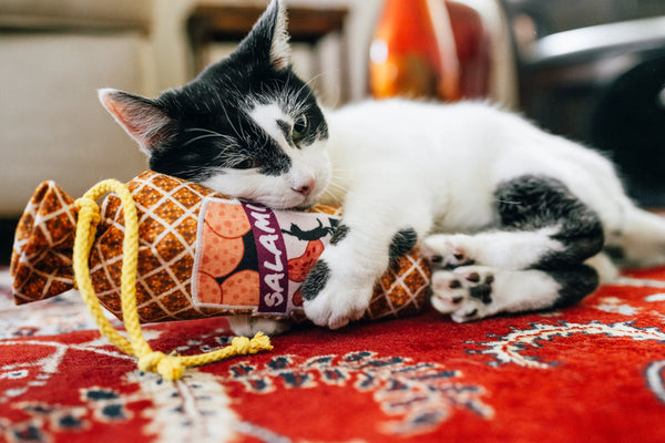 P.L.A.Y. Feline Frenzy Salami Slammer Kicker Toy