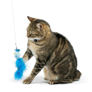 KITTYBELLES S Blue Birdy Feather Teasers Cat Wand 2pk Refill