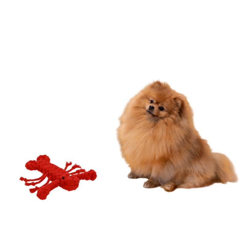 KNOTTY PAWZ Handmade Rope Dog Toy Rose Lobster