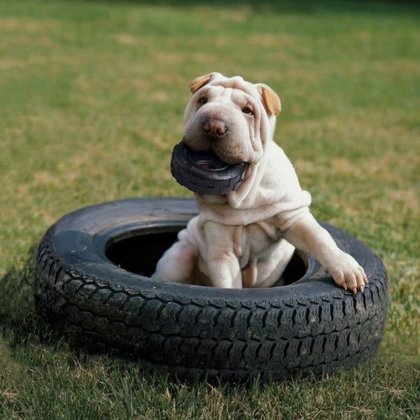 KONG Extreme Tires M/L Puppy