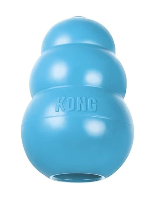 KONG Puppy Regular