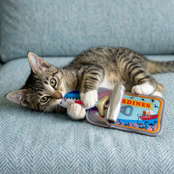 Kong Crackles Sardine Cat Toy