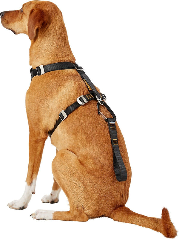 KURGO Tru-Fit Extra Strength Smart Harness with Seatbelt Tether