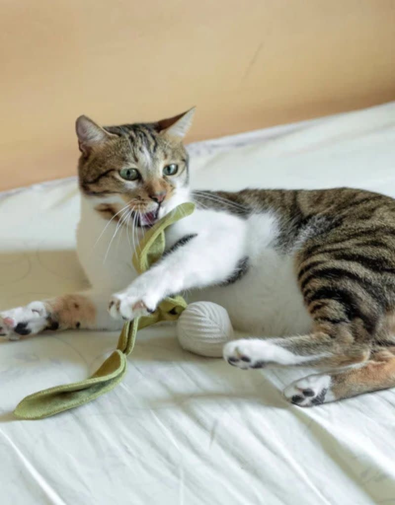 LAMBWOLF COLLECTIVE Kitty Radish Cream