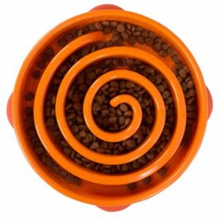 OUTWARD HOUND Fun Feeder Slo-Bowl - Orange