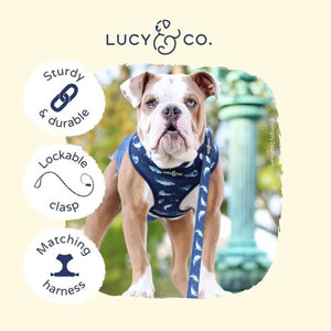 LUCY & CO Leash Shark Attack