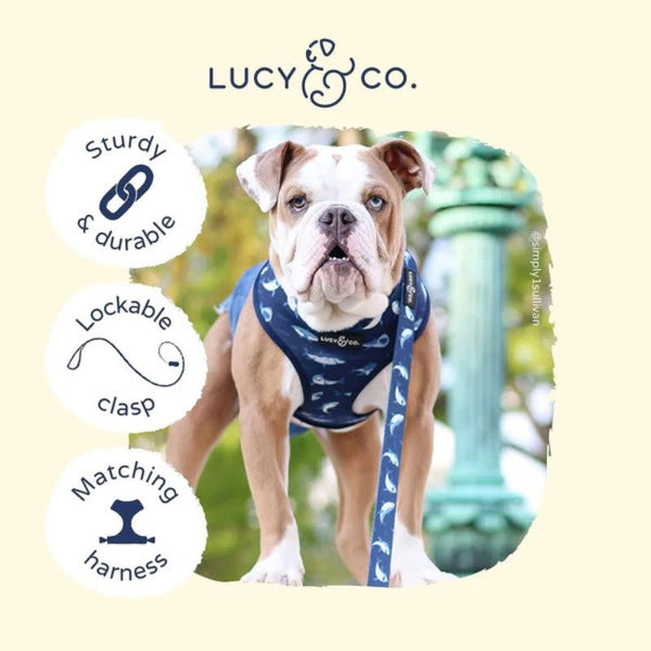 LUCY & CO Leash Shark Attack