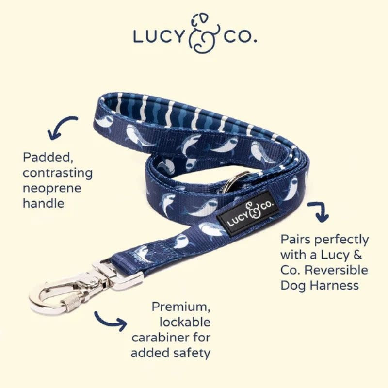 LUCY & CO Leash Shark Attack
