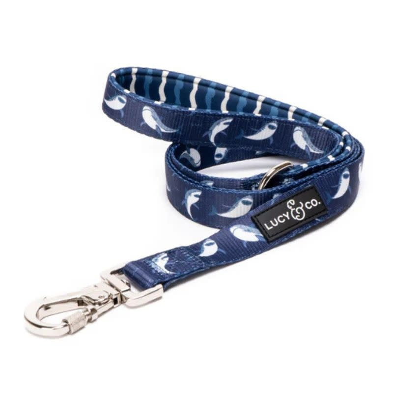 LUCY & CO Leash Shark Attack