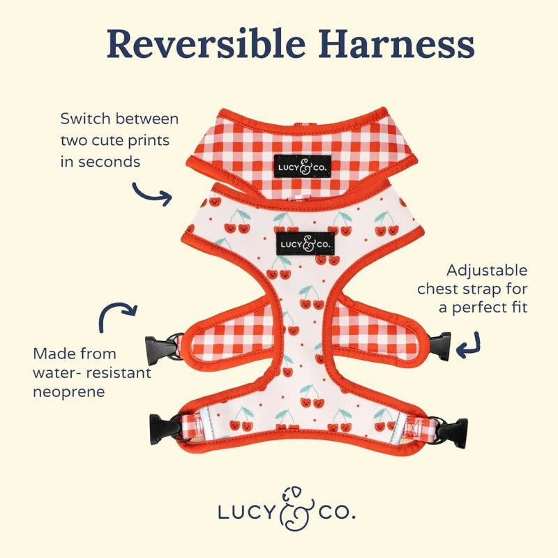 LUCY & CO Reversible Harness Cherries
