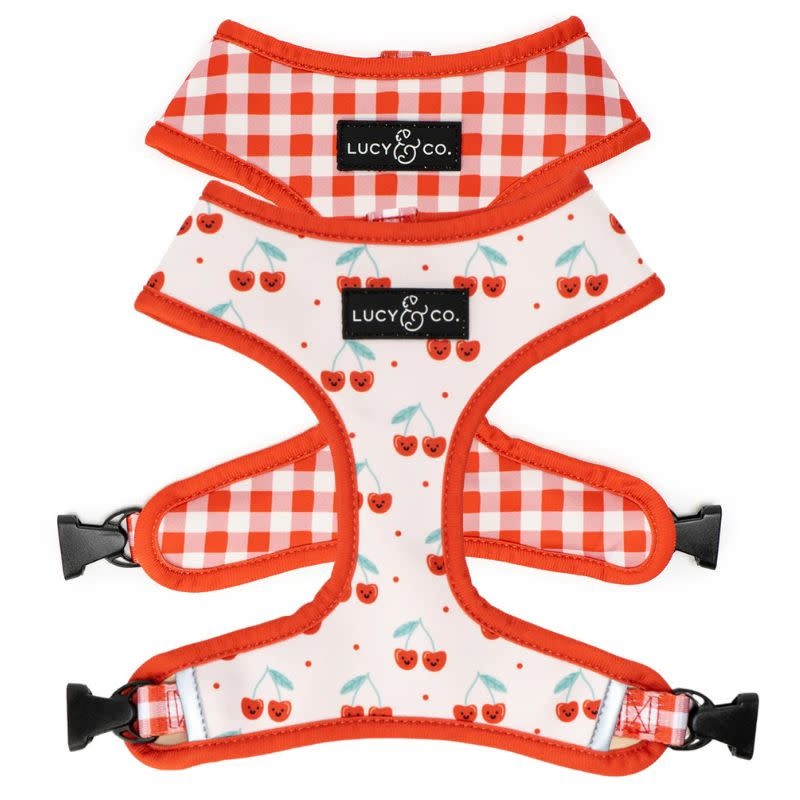 LUCY & CO Reversible Harness Cherries