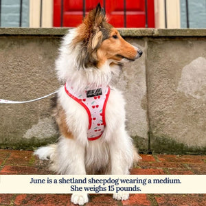 LUCY & CO Reversible Harness Cherries