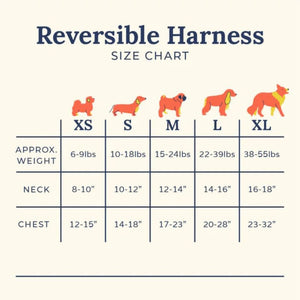 LUCY & CO Reversible Harness Shark Attack